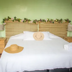 Gasthof 7 San Fernando, Jimmy, Bacalar