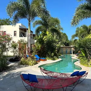 Blue Palm בקאלאר