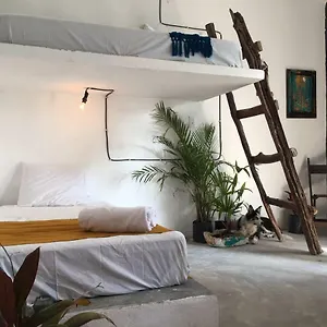 Gasthof Black Jaguar, Bacalar